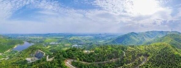 91麻豆网站进入-一、91麻豆网站的兴起与特点