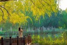 91麻豆映画传媒app-91麻豆映画传媒app，视觉盛宴与内容创作的独特魅力
