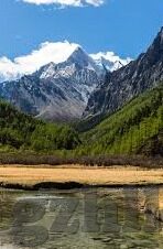 国产精品一区久久99果冻传媒-国产精品文化，一区久久99果冻传媒的独特魅力