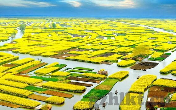麻豆短视频app官网安卓下载-麻豆短视频，多元化娱乐的掌中宝