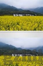 茄子视频app成人-茄子视频app，成人内容平台的双刃剑