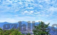 糖心app下载苹果-探索甜蜜的边界 —— 糖心APP的使用指南