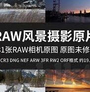 糖心vlog兑换码购买-享受精彩Vlog世界 —— 揭示糖心Vlog兑换码购买全攻略