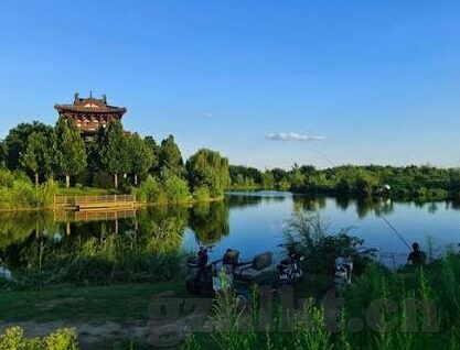 糖心vlog在线入口进入-探寻糖心Vlog的在线世界，解锁创意与分享的新视角