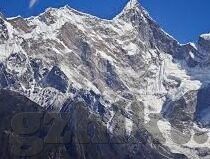 糖心直播免费版app下载-探索糖心直播的精彩世界——免费版app下载指南
